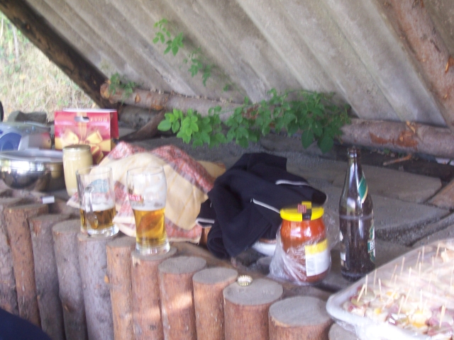 fotto 005.jpg (313K)