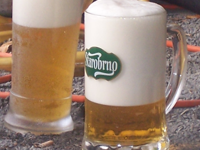 fotto 009.jpg (313K)