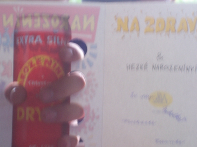 fotto 032.jpg (313K)