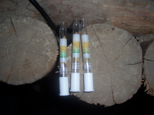 fotto 035.jpg (313K)