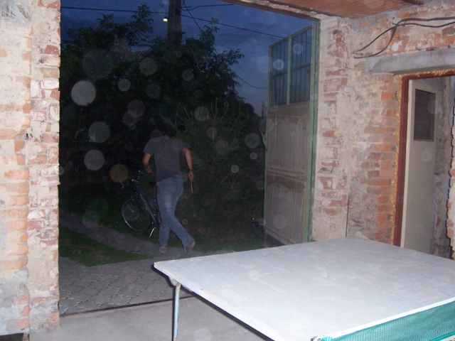 pink-ponk 008.jpg (223K)