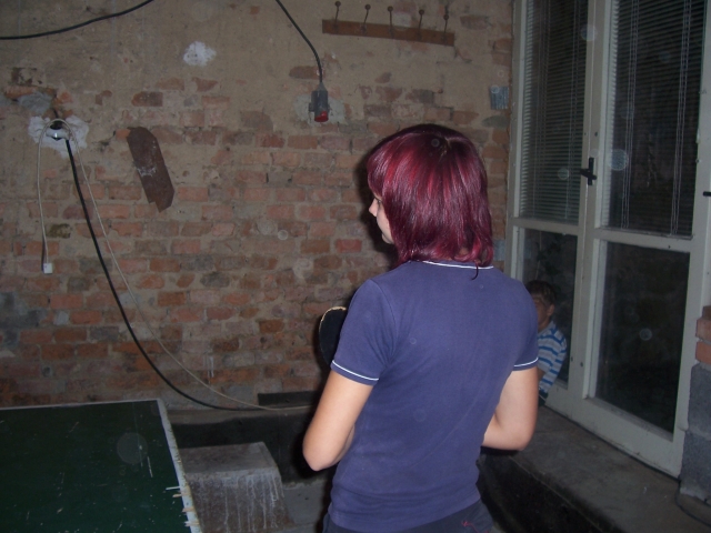 pink-ponk 004.jpg (223K)