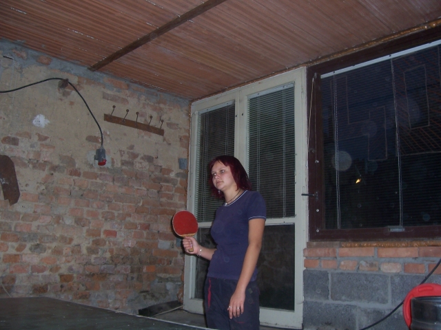 pink-ponk 002.jpg (223K)