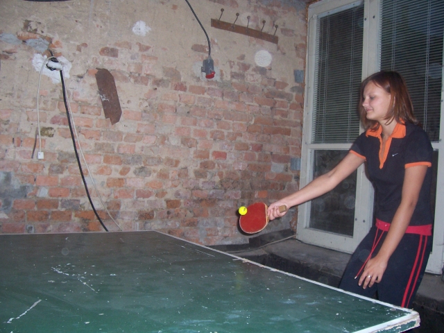 pink-ponk 007.jpg (223K)